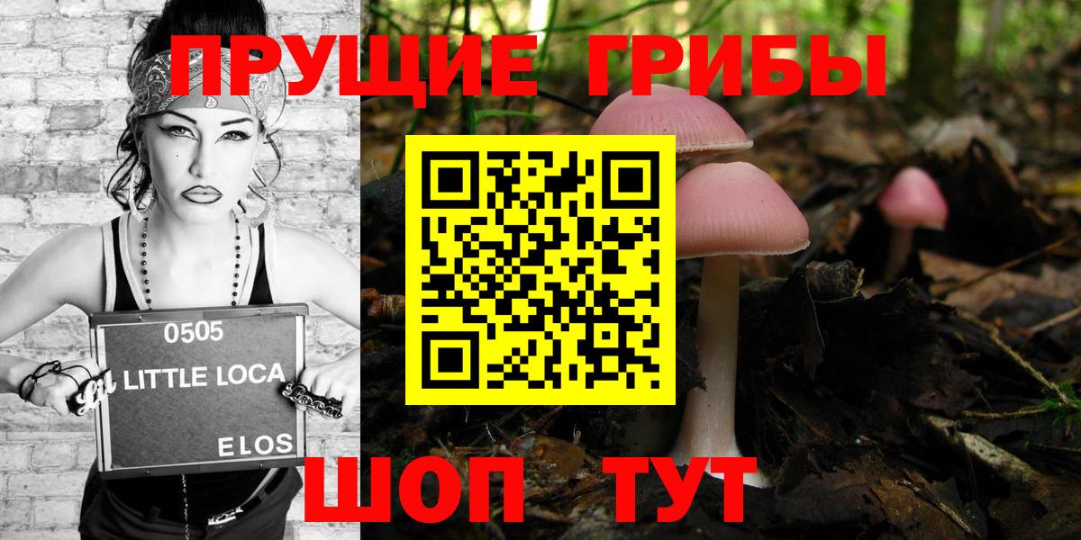 Галлюциногенные грибы GOLDEN TEACHER Юрга