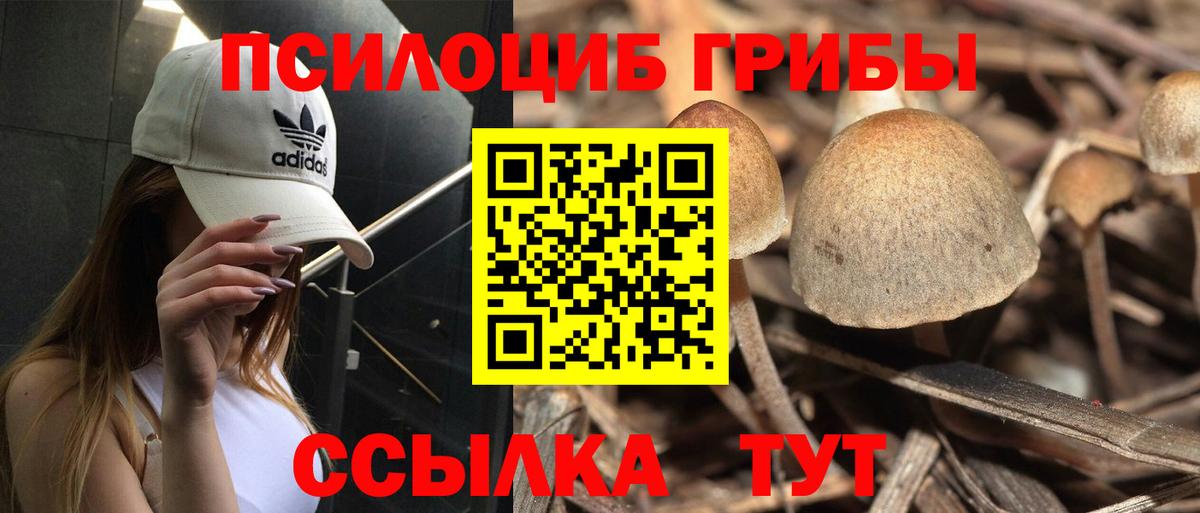 Псилоцибиновые грибы GOLDEN TEACHER  Вход с VPN  Юрга 